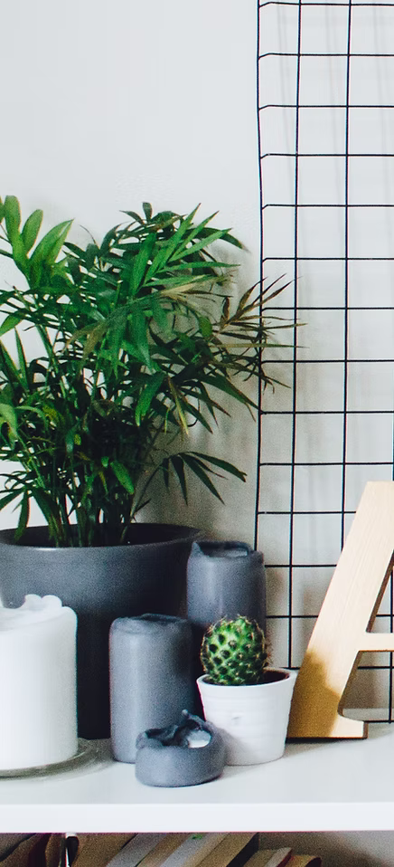 Interior Design
and Fit - out